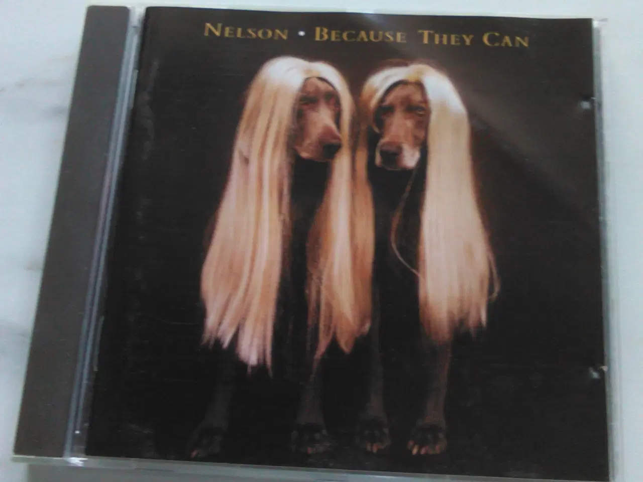Billede 1 - Nelson Because they can (1995  