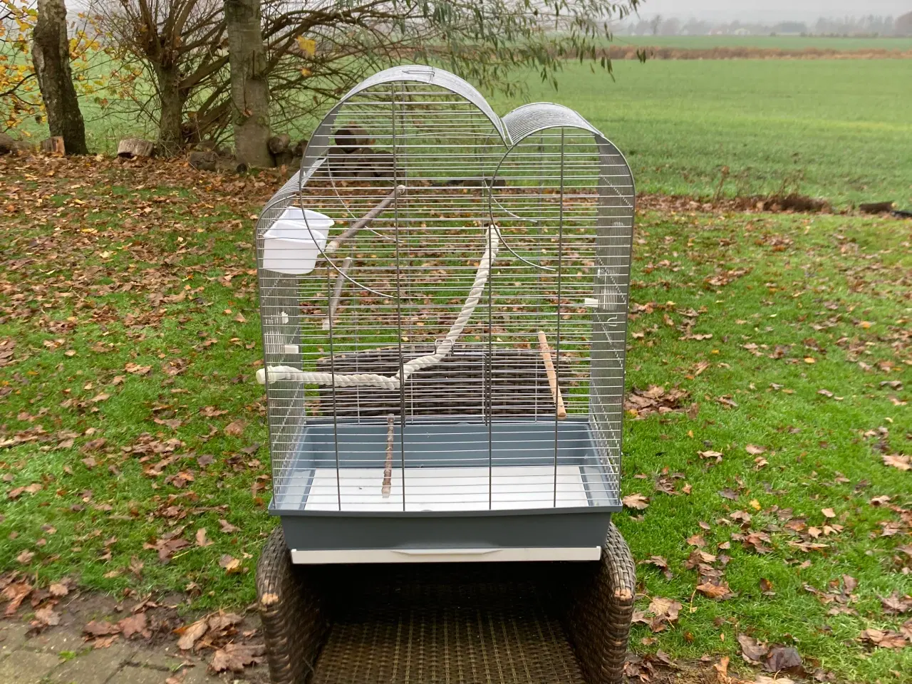 Billede 2 - Flot bur