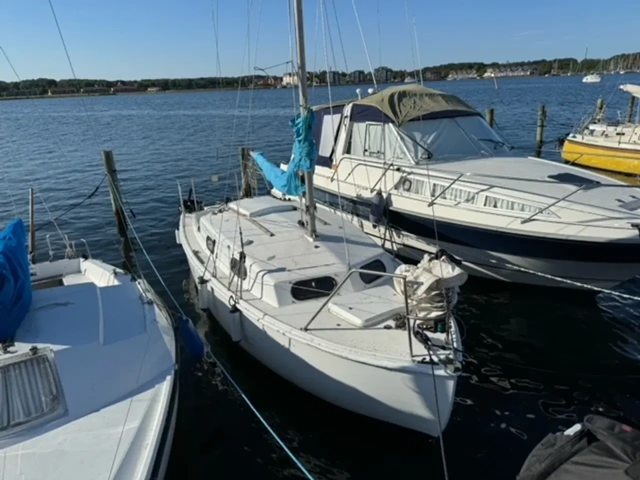 Billede 2 - Kingfisher 20 Sejlbåd