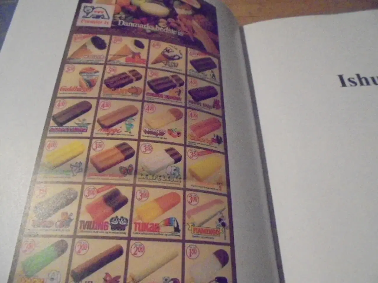 Billede 3 - 2 flødeisfabrikker og 75 ishuse – Frederikshavn fo