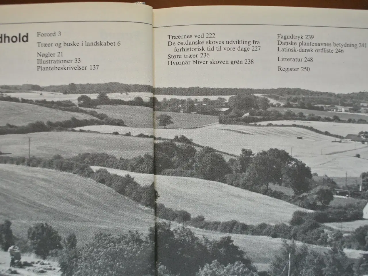 Billede 2 - træer og buske i landskabet. 9. udg., Af helge ved