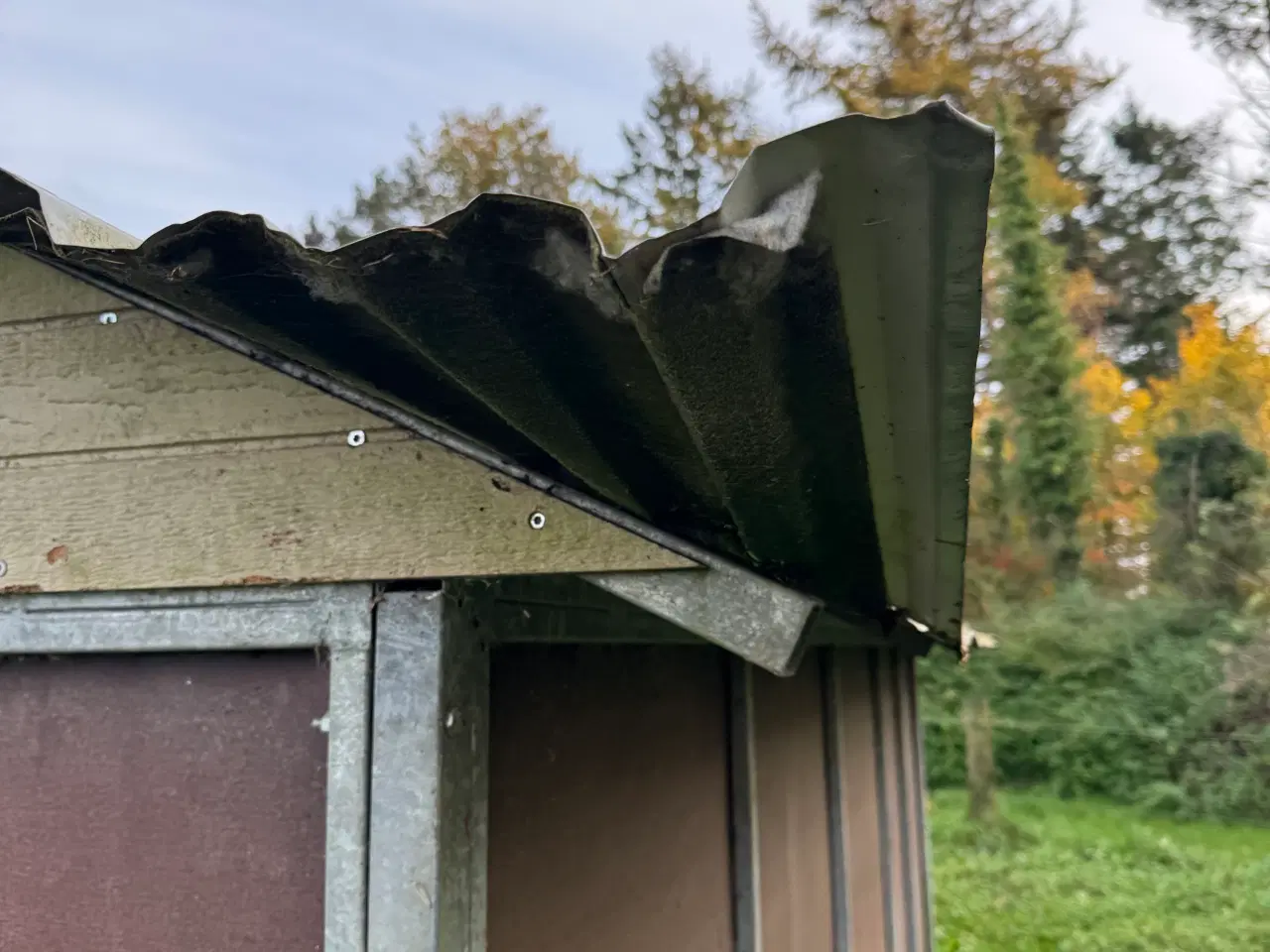 Billede 7 - Hesteskur