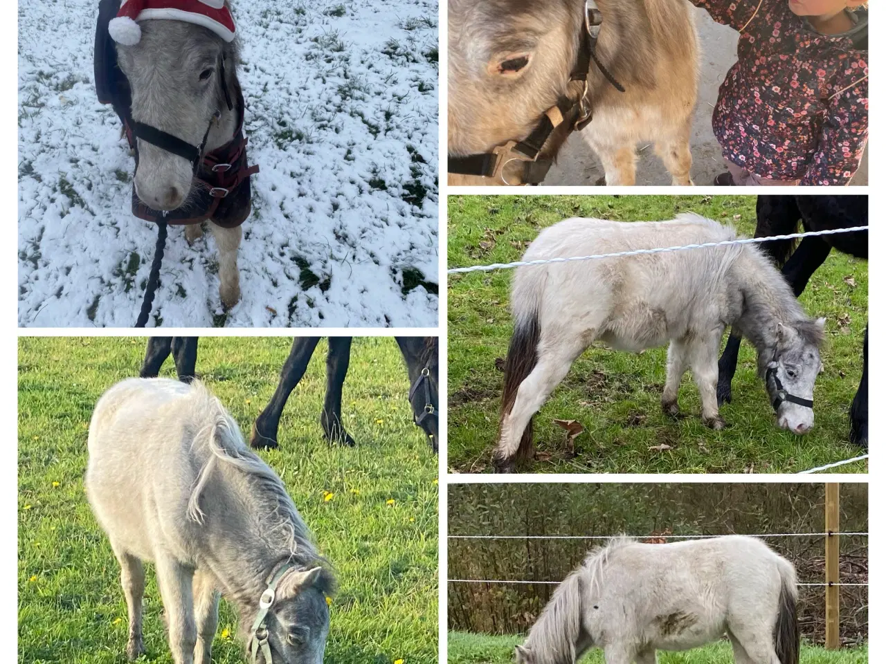 Billede 4 - Mini knapstrupper 