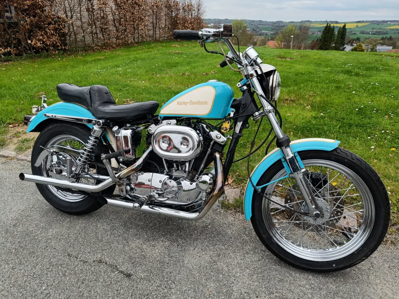 Billede 1 - Harley Davidson sporster 1000