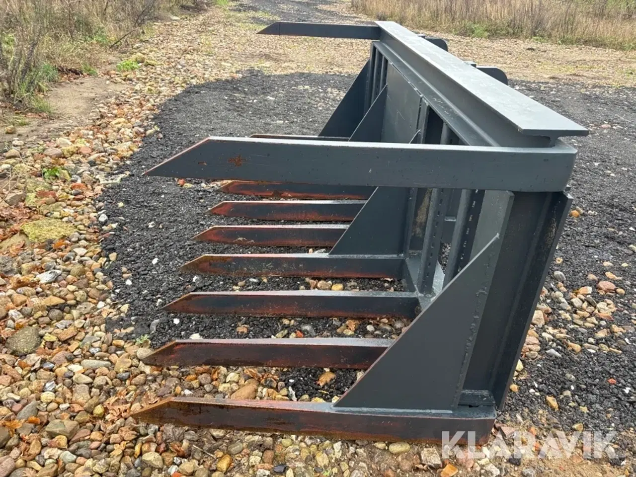 Billede 7 - Græsgrev