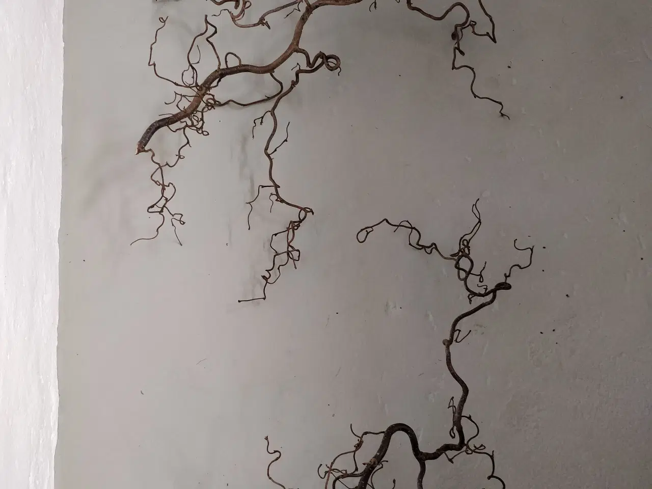 Billede 1 - Troldegrene