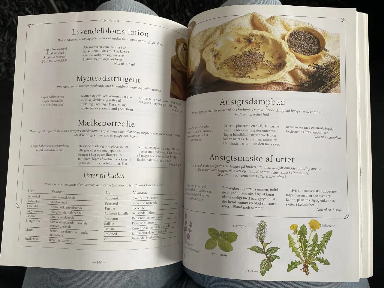 Billede 3 - Bogen om krydderurter