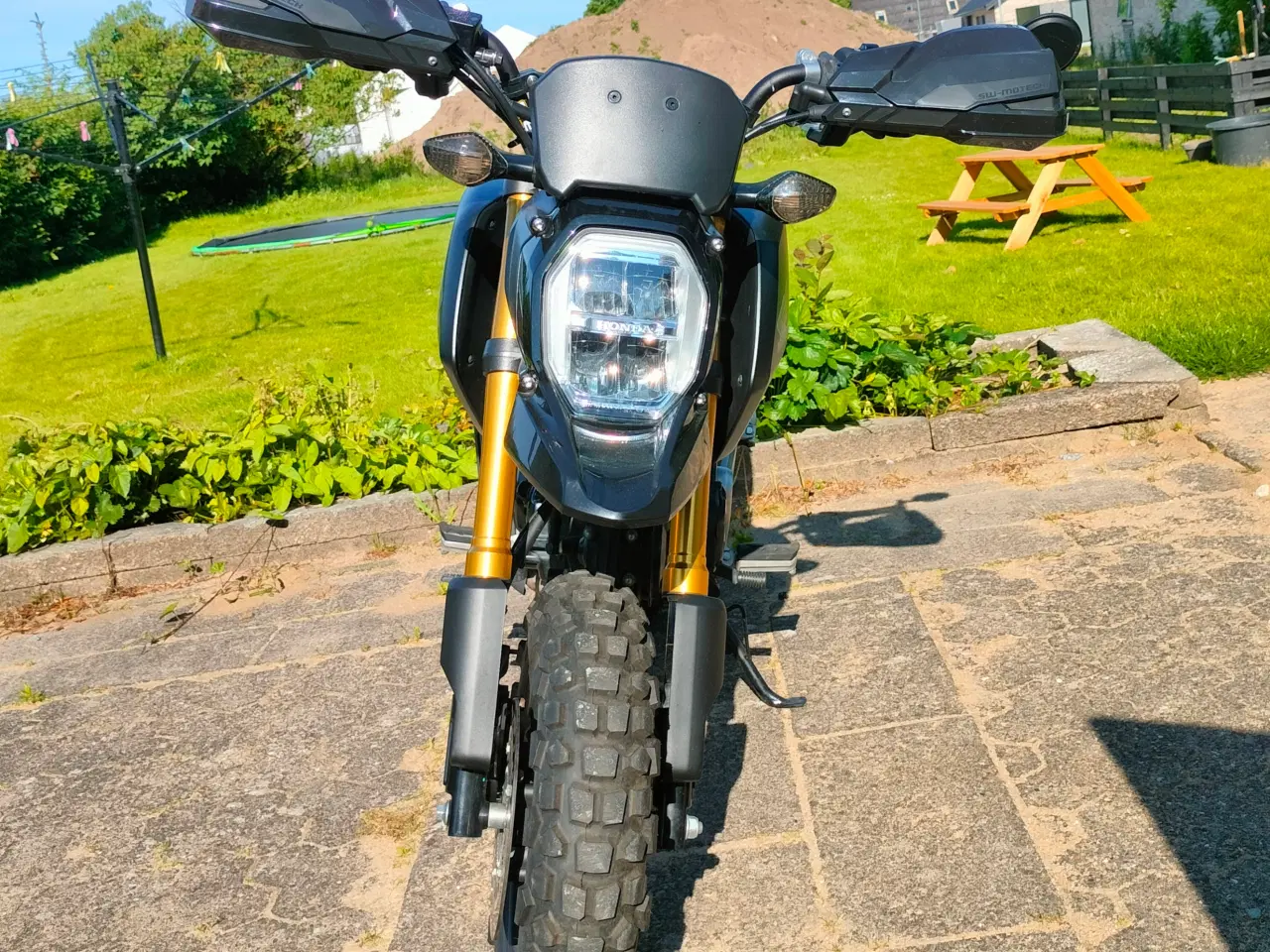 Billede 4 - 2023 Honda MSX 125 Grom 