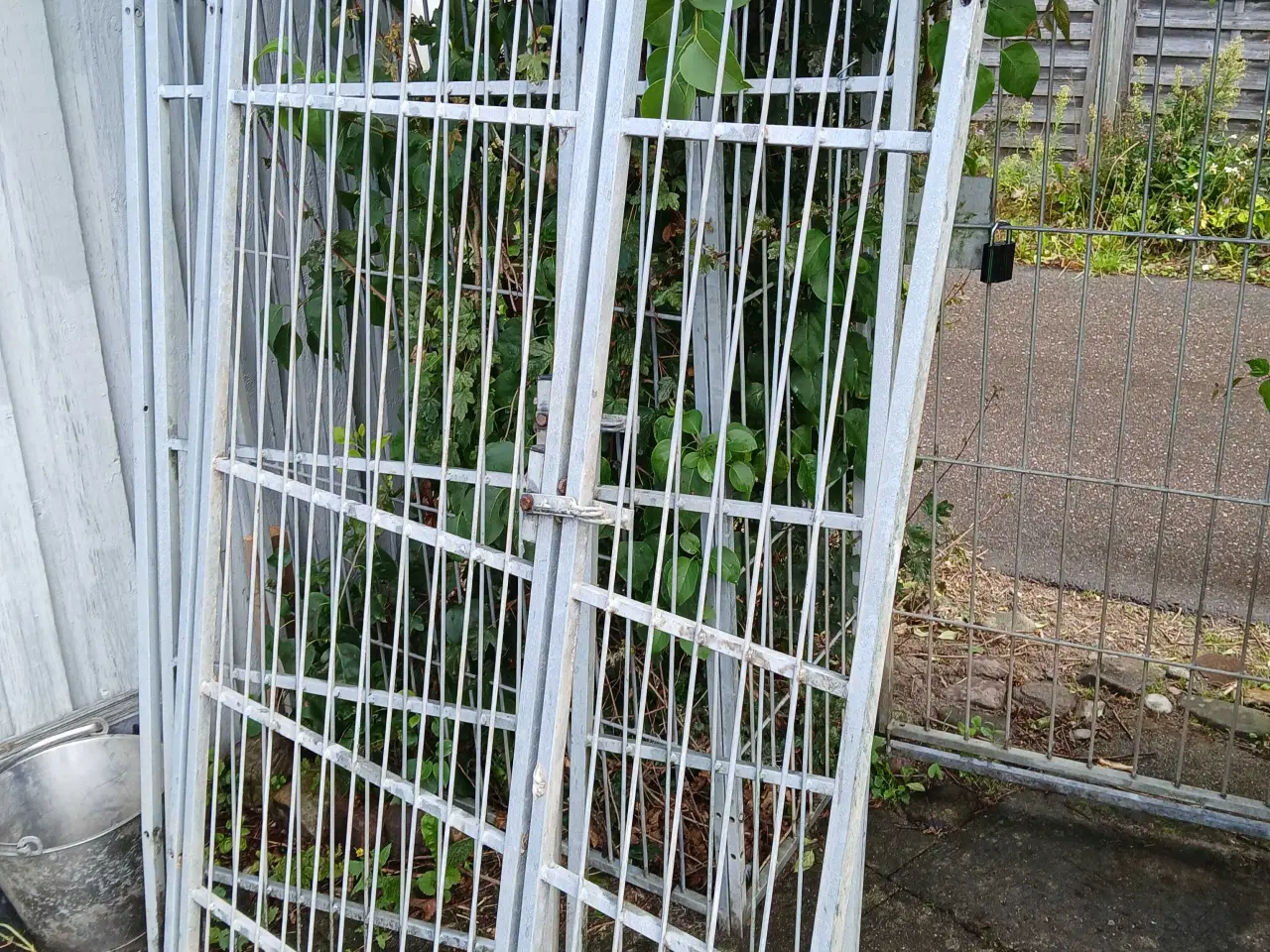 Billede 7 - Hakon hundegård 
