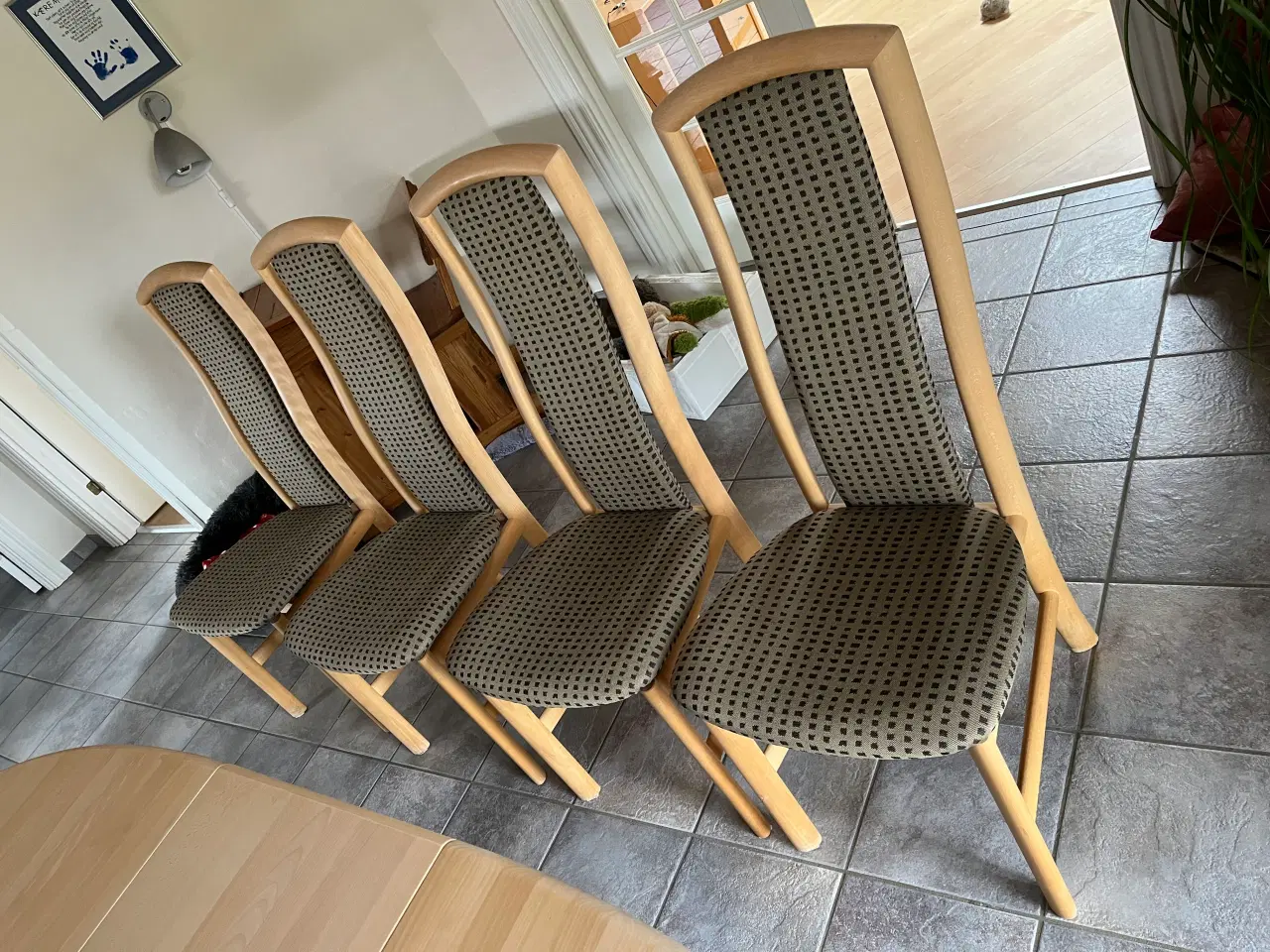 Billede 4 - Skovby - sæbebøg