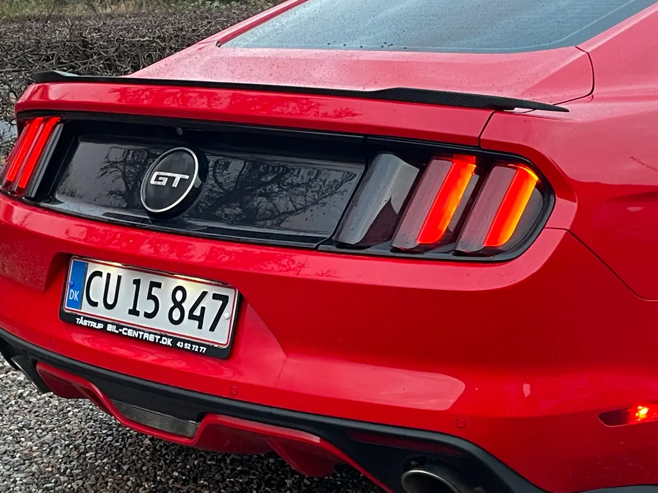 Billede 15 - Ford Mustang efterårs pris