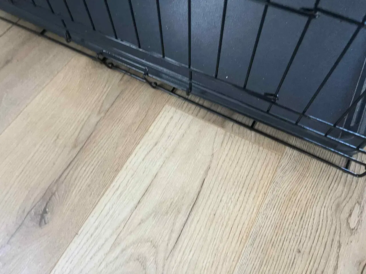 Billede 28 - Hundeting til salg 