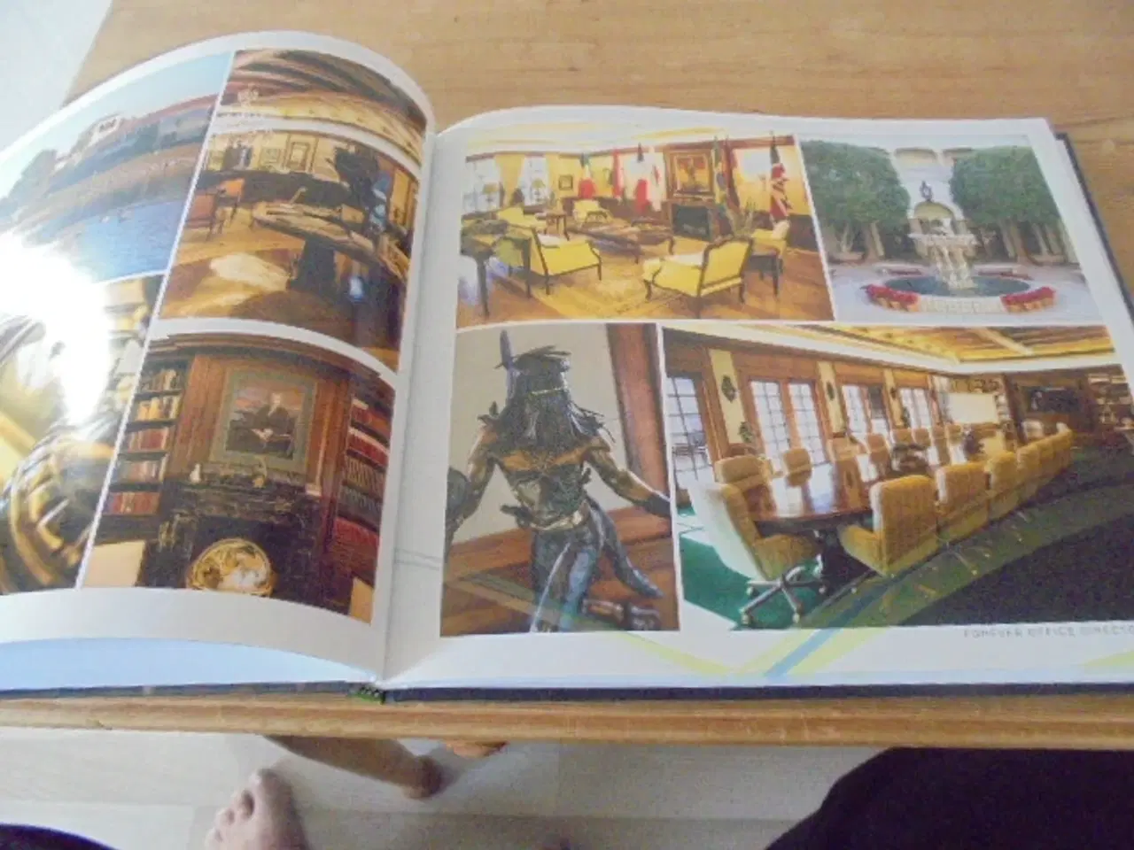 Billede 4 - Forever Living Products – Aloe Vera 2015