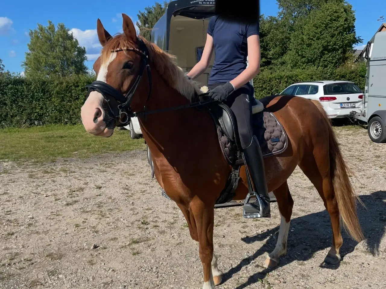 Billede 15 - Prestige Lucky Idol dressursadel