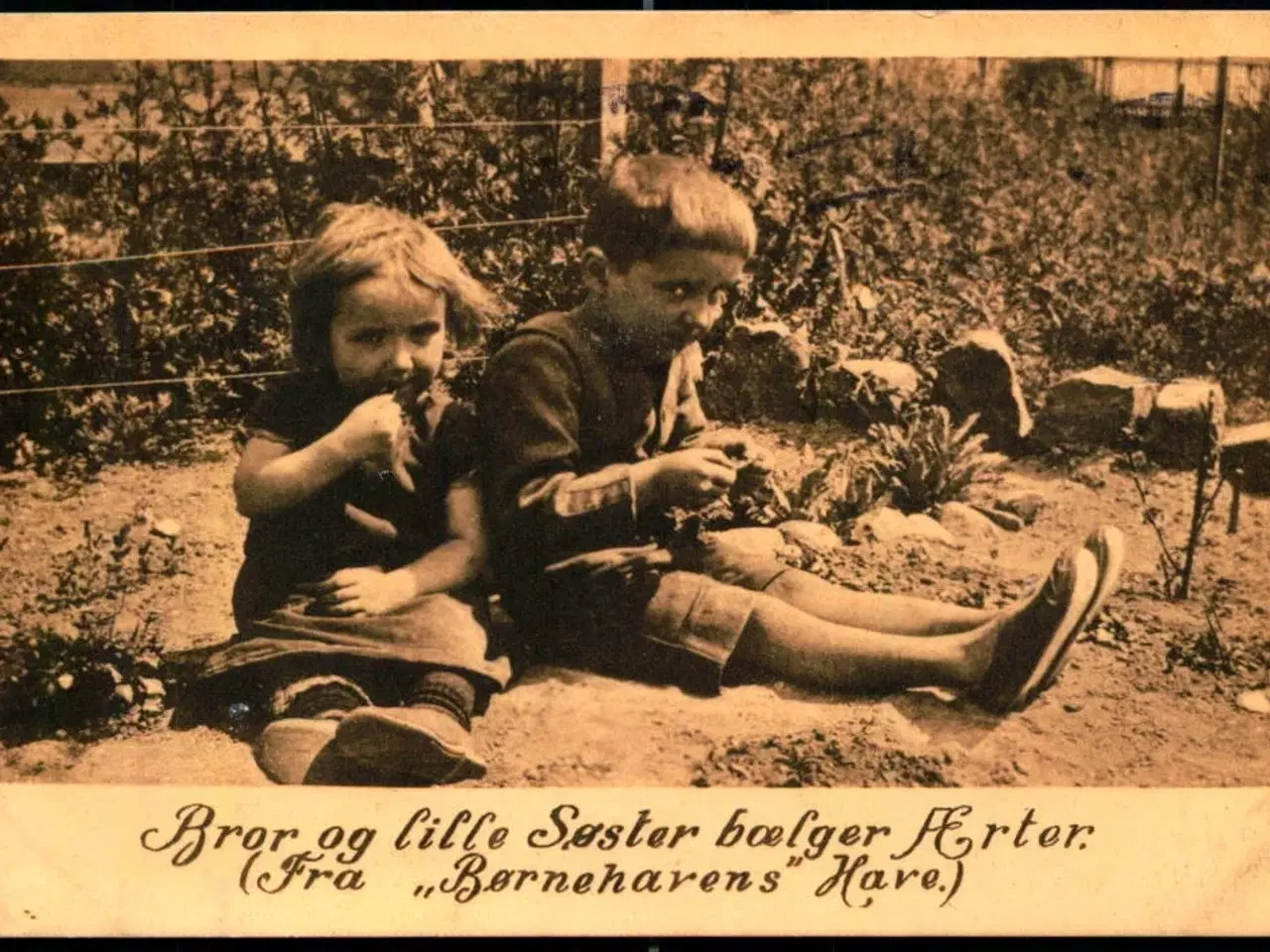 Billede 1 - Bror og lille Søster bælger Ærter (Fra "Børnehavens Have) - Børnehaven i Absalonsgade 37 - u/n