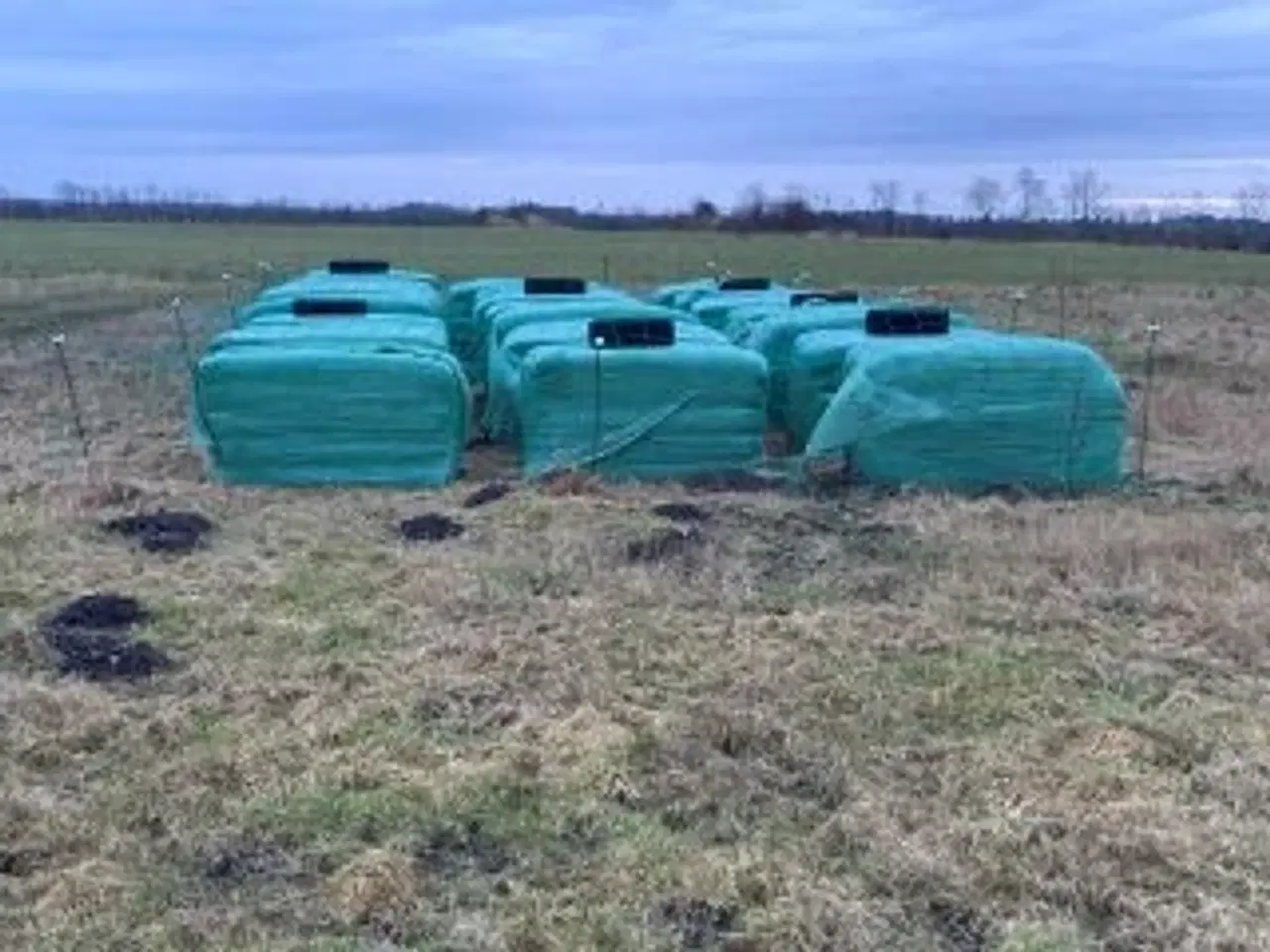 Billede 3 - Wrap Hø 2025