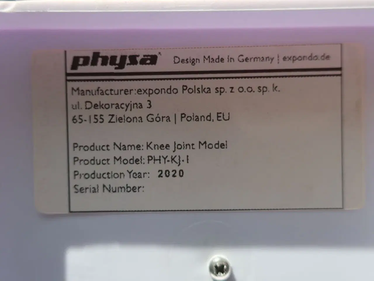 Billede 4 - Undvisningsknogler PHYSA (rygsøjle, skulder & knæ)