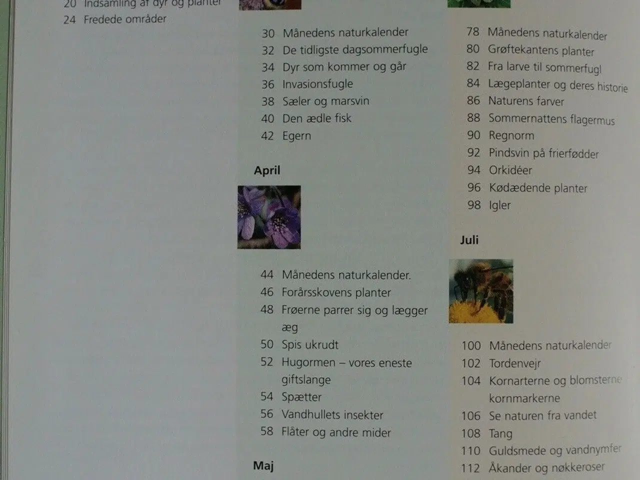Billede 2 - familiens naturbog, af thomas bille og leif schack
