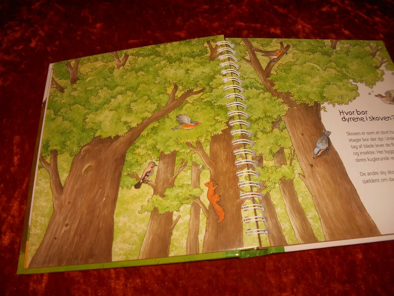 Billede 3 - I skoven, Angela Weinhold