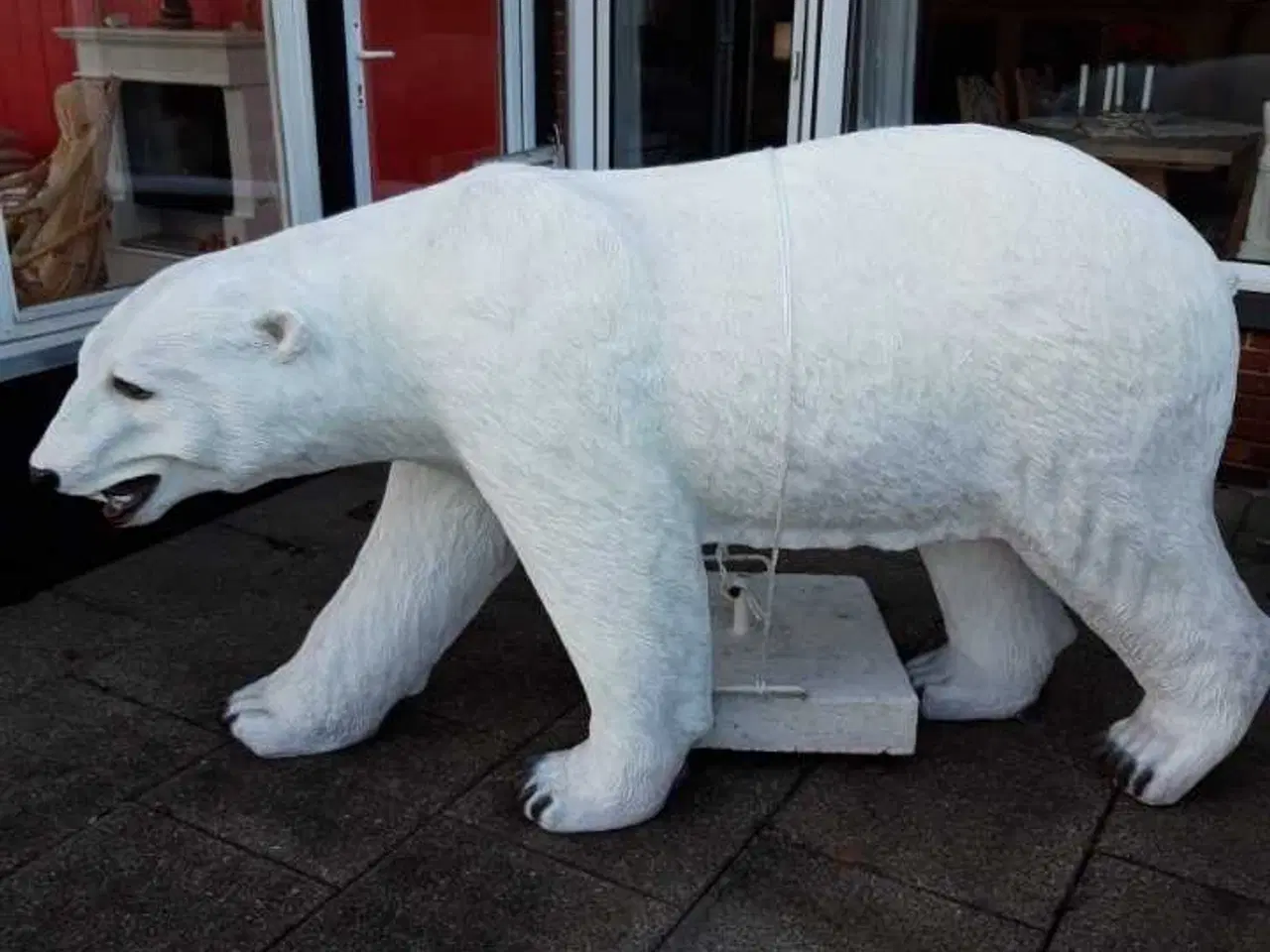 Billede 1 - Isbjørn