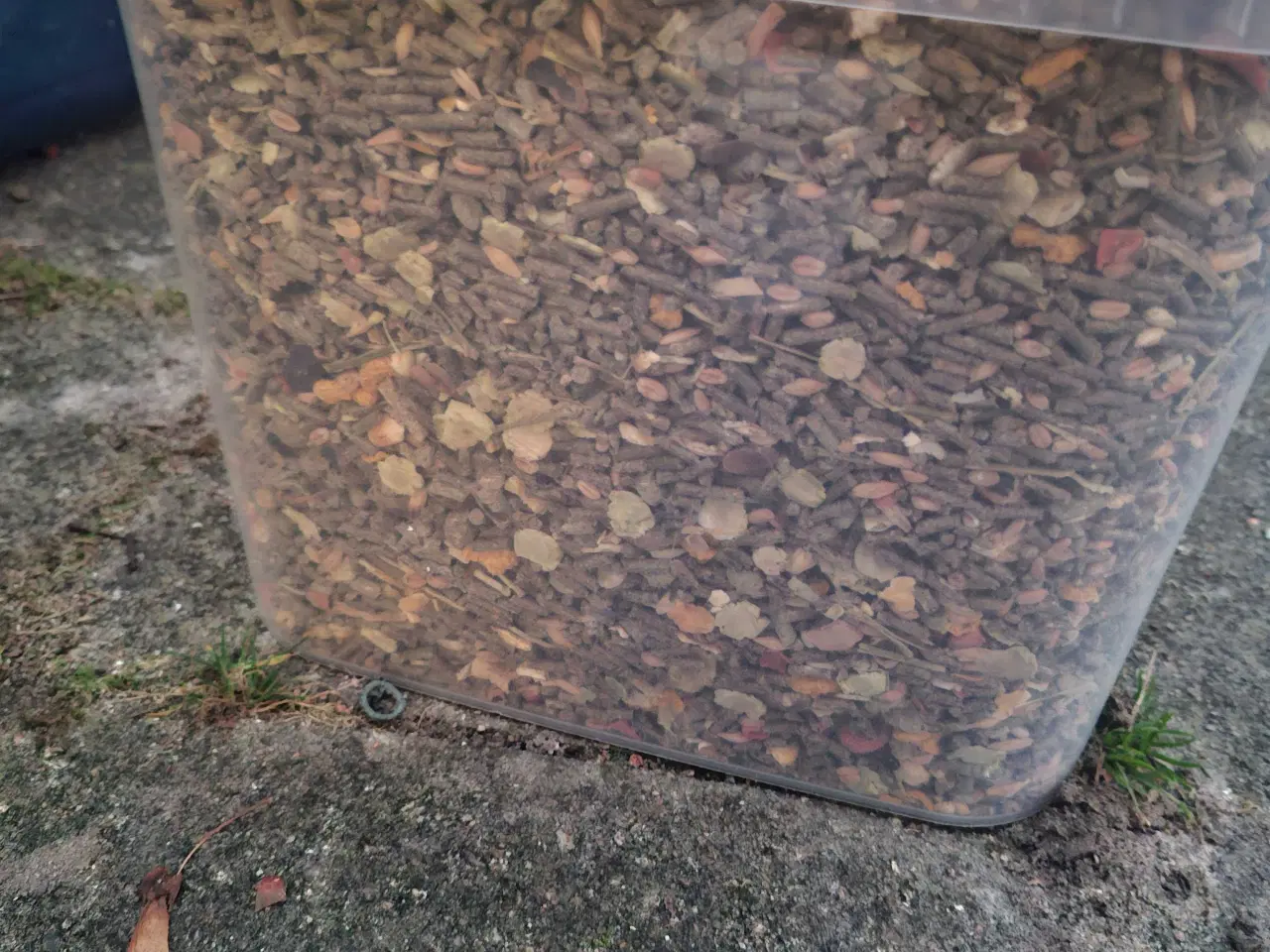 Billede 1 - Kanin mad, godbidder