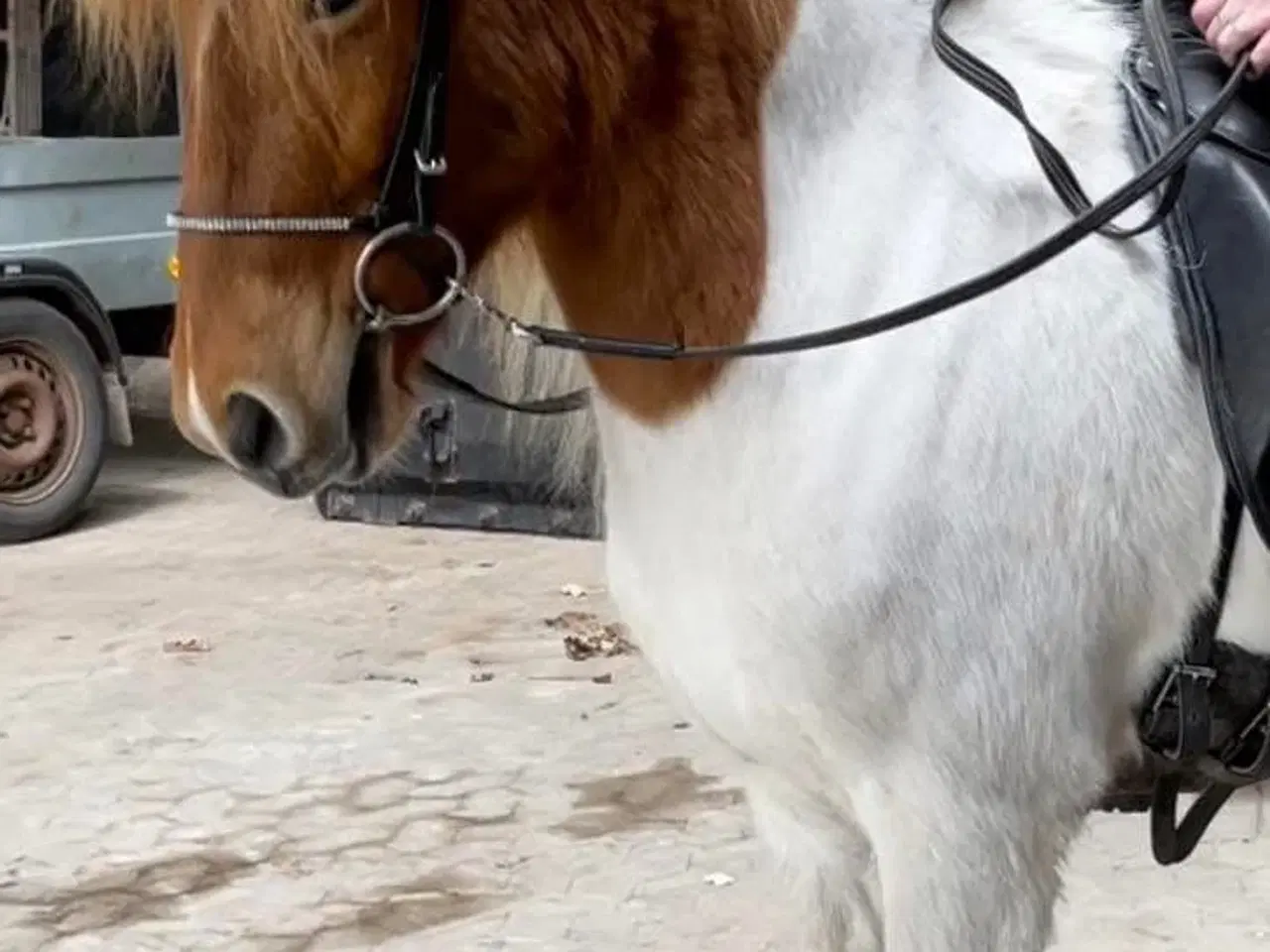 Billede 3 - Jule tilbud