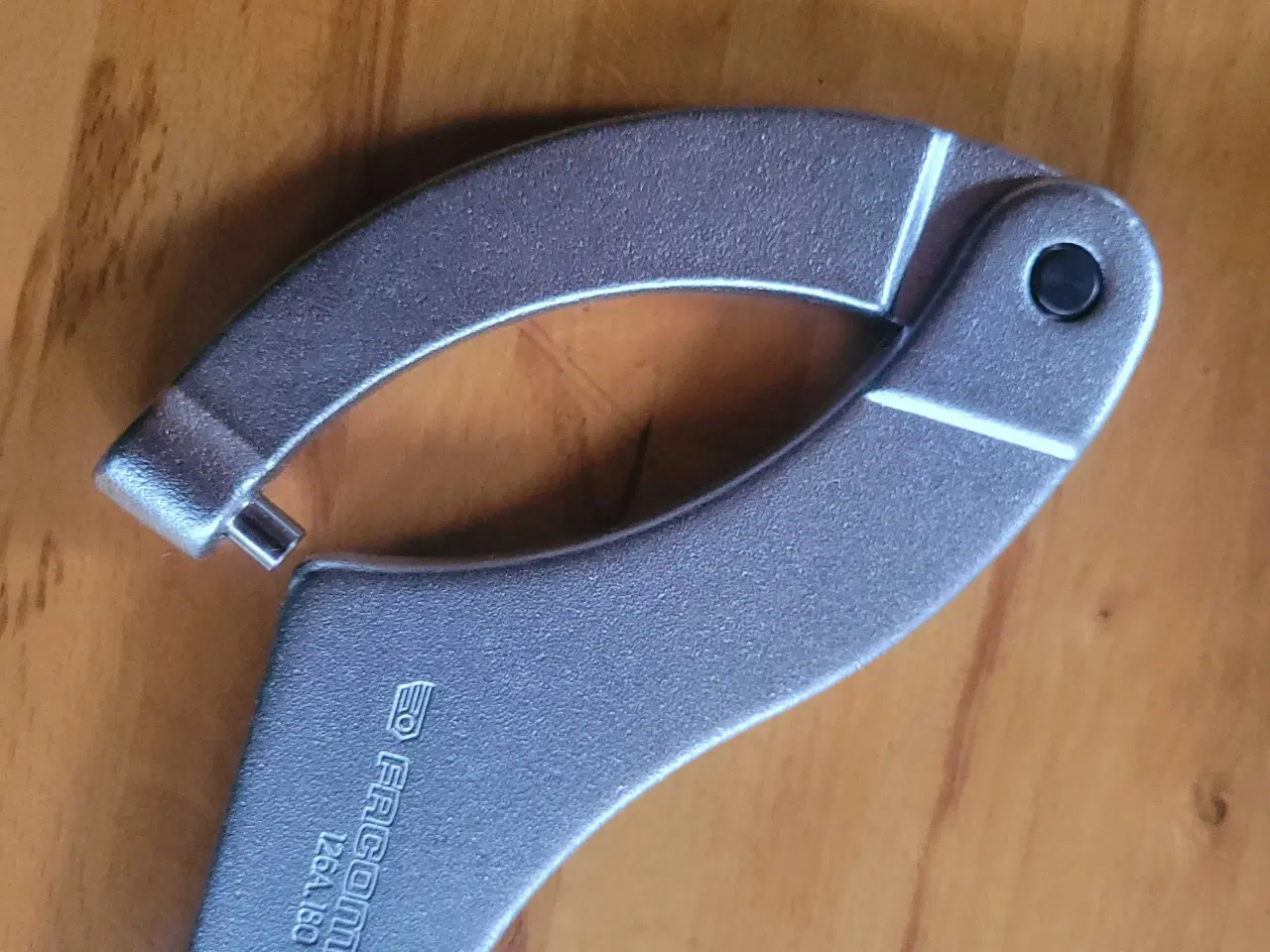 Billede 3 - Hagenøjle