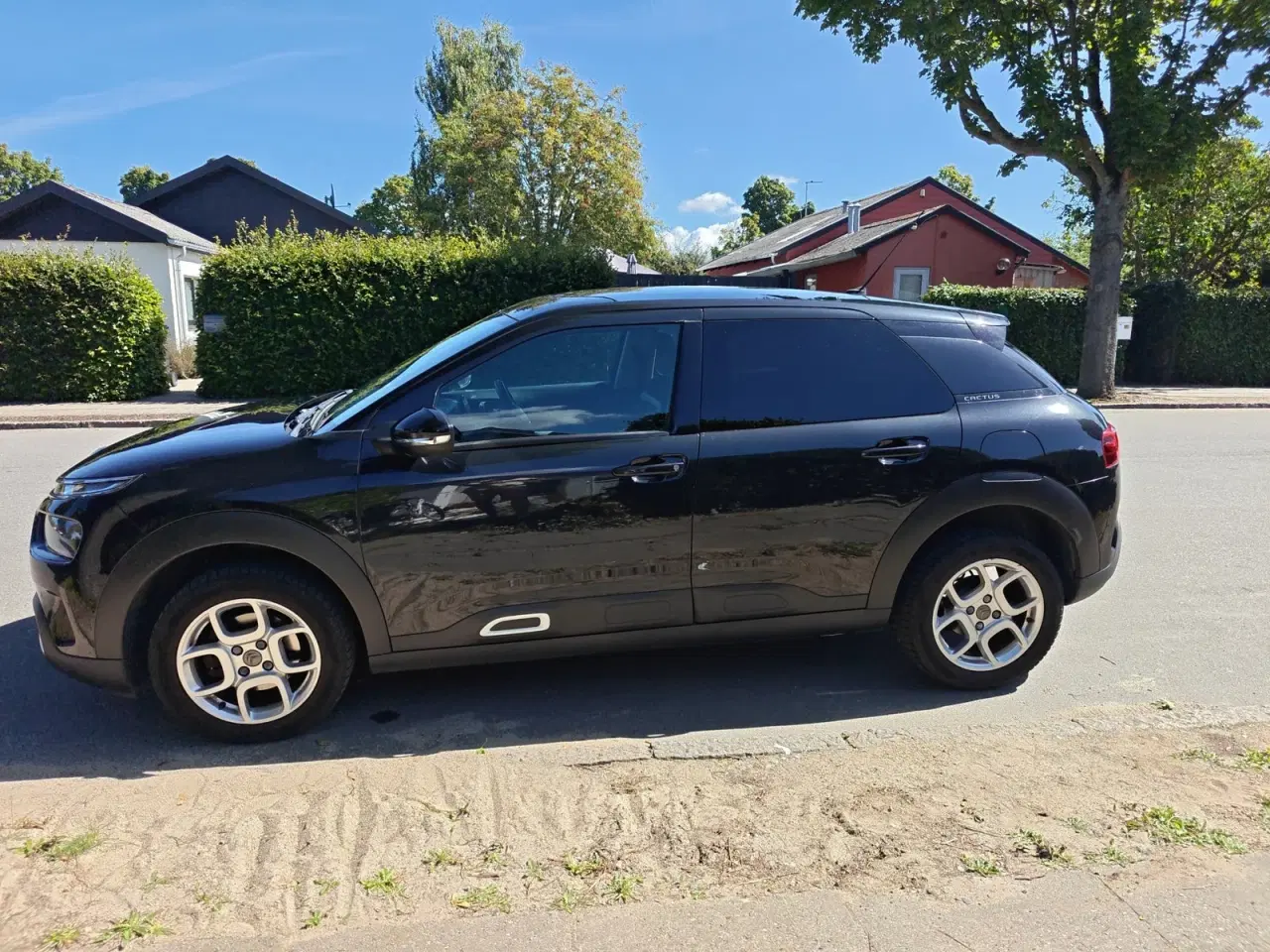 Billede 8 - Citroën C4 Cactus 1,2 PureTech 130 SkyLine