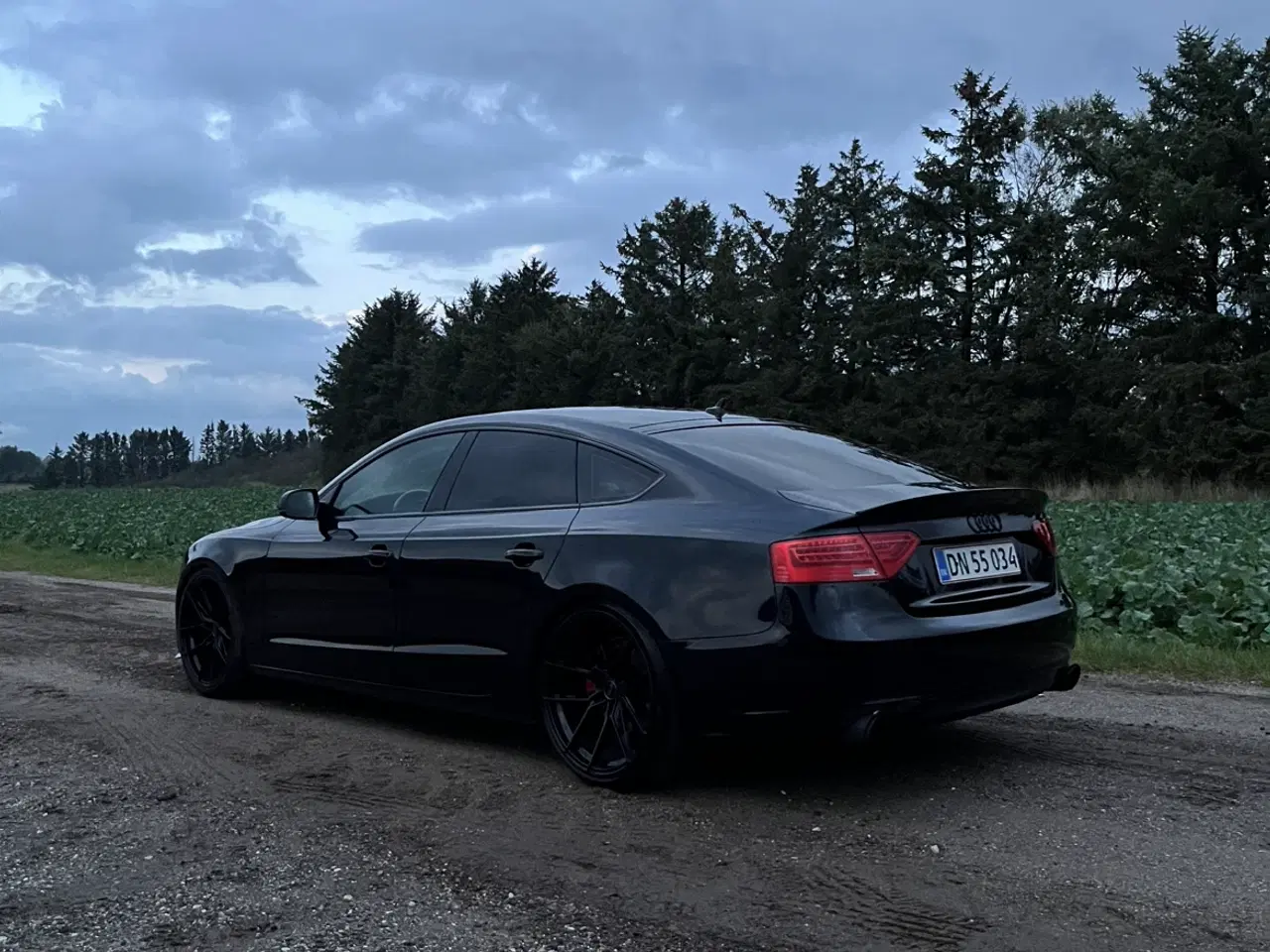 Billede 3 - Audi A5 3.0 TDI 204HK Multitronic 2013