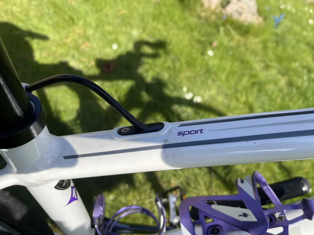 Billede 8 - Specialized Sport Dolce Racer