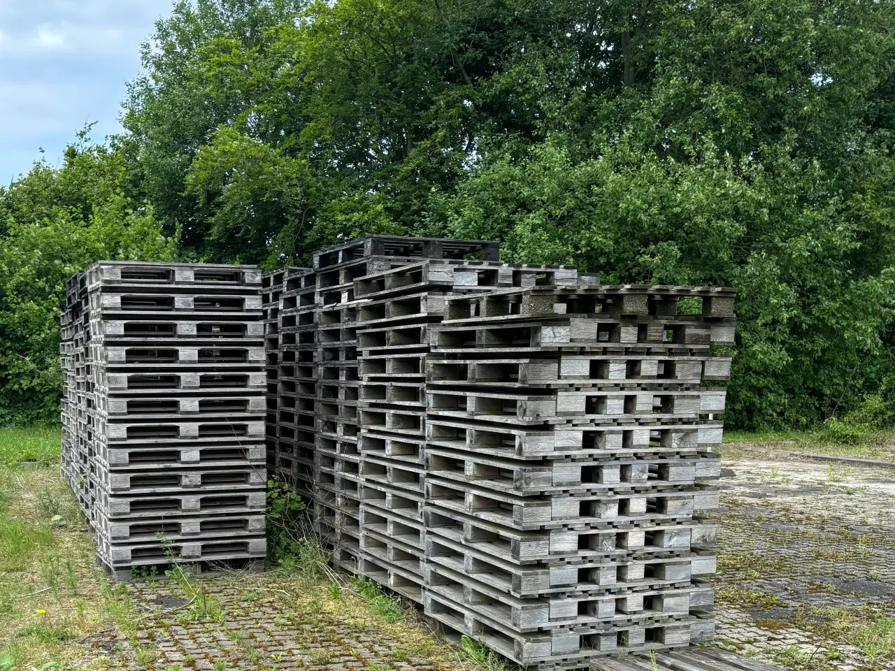 Billede 2 - Paller af træ