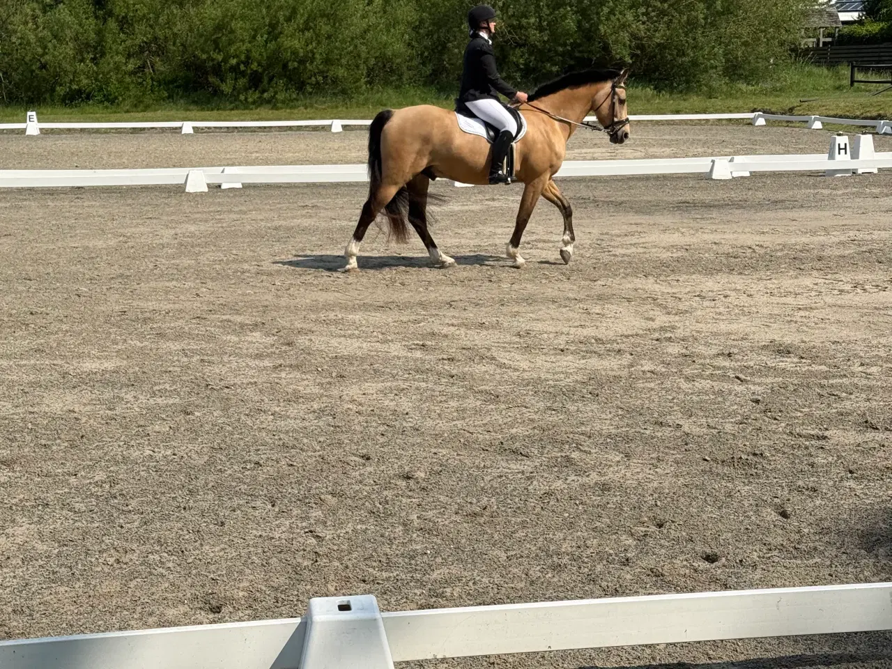 Billede 15 - Dine nye bedste ven