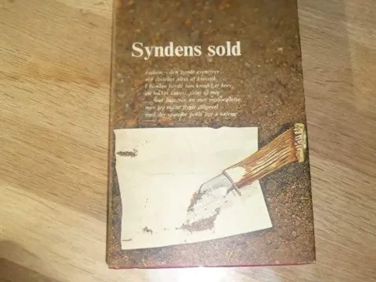 Billede 1 - Syndens sold