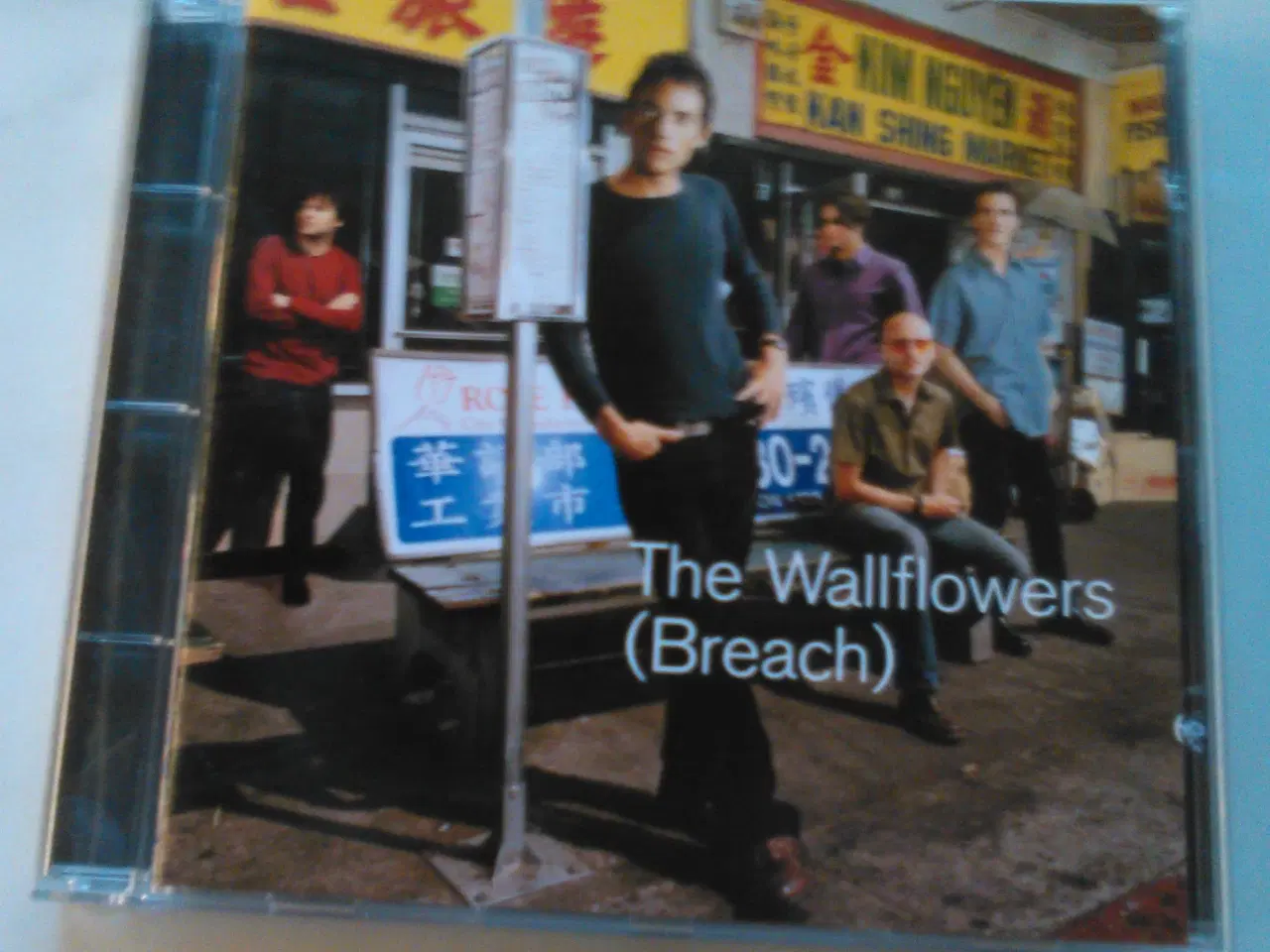 Billede 1 - The wallflowers: Breach (2000