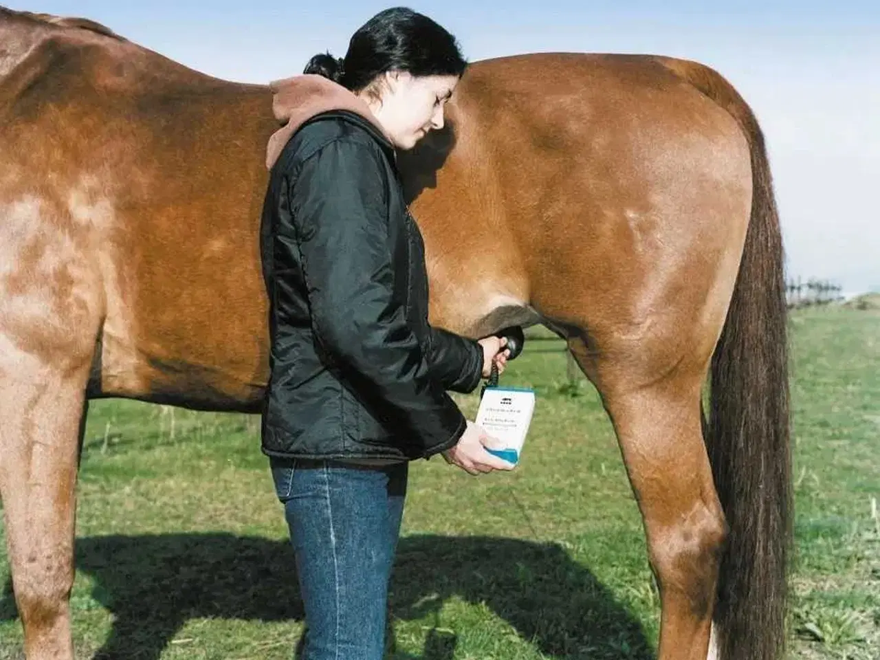 Billede 7 - Drægtighedsscanner