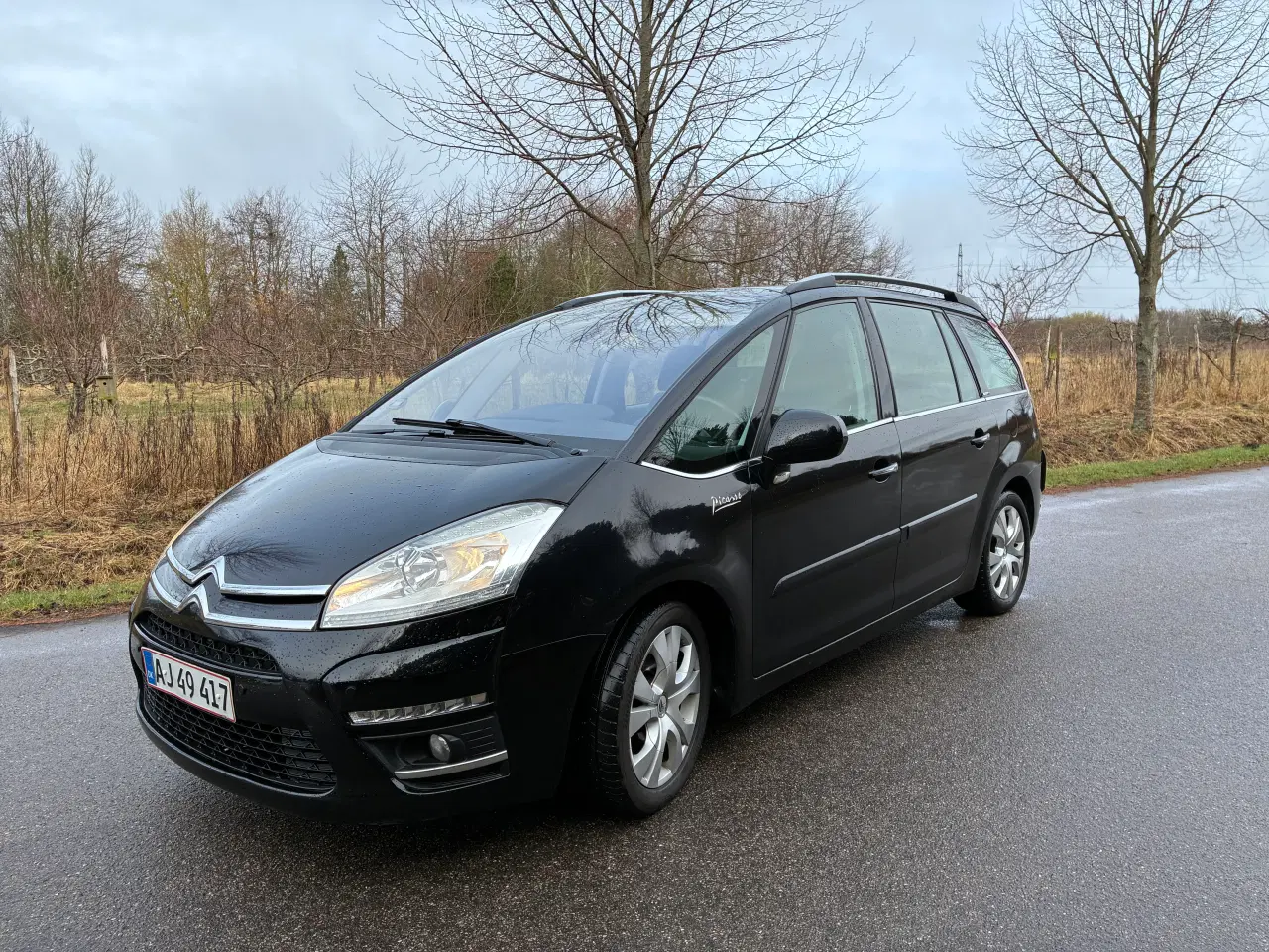 Billede 2 - Citroen C4 Grand Picasso 2,0 HDI 