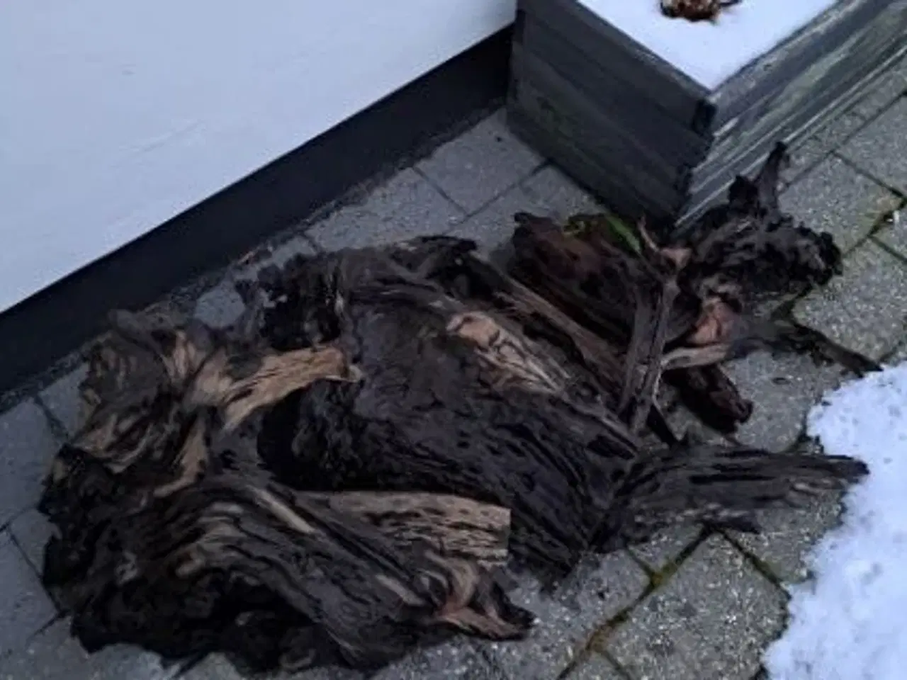 Billede 4 - Trærødder til dekoration