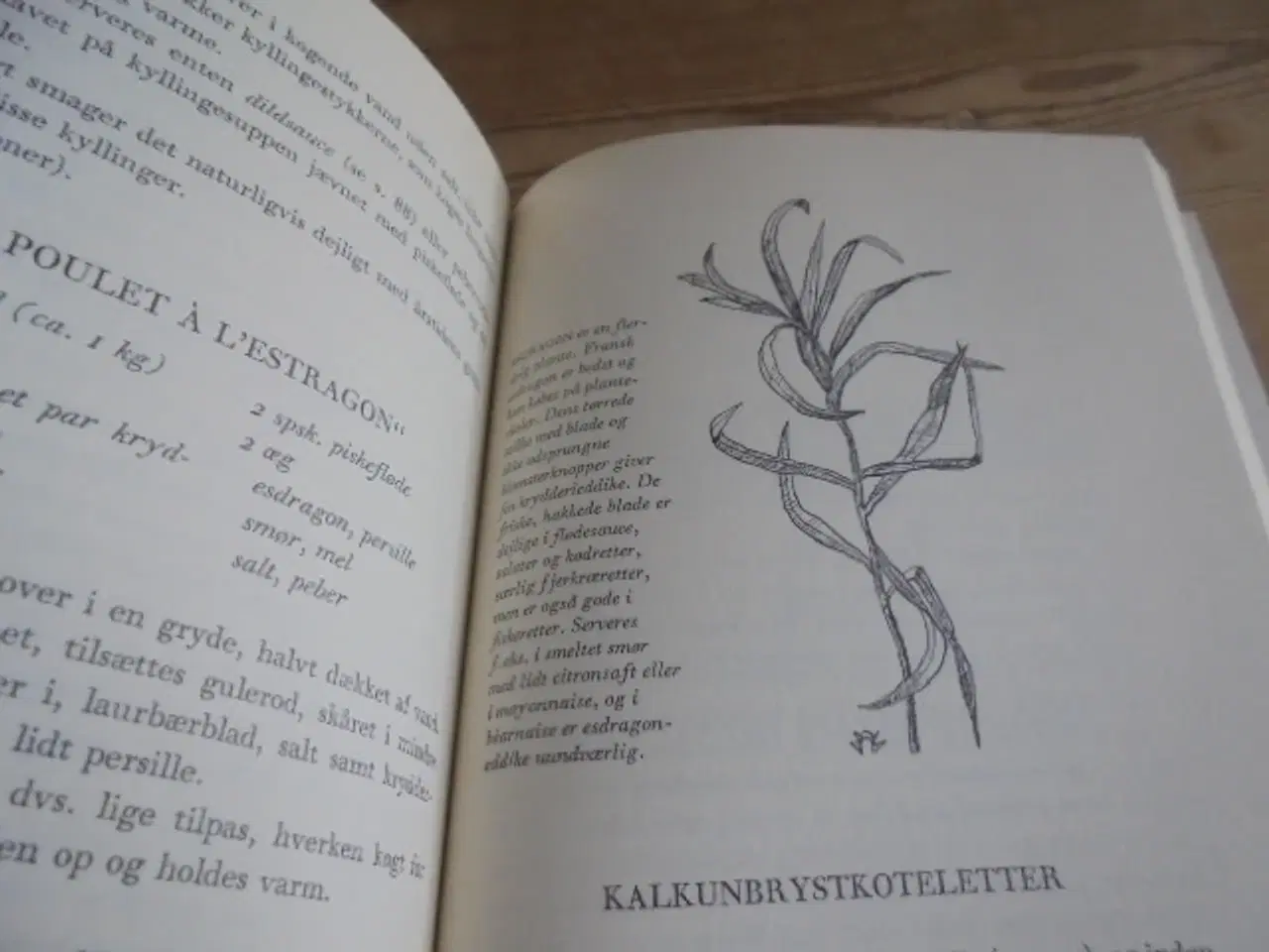 Billede 2 - Krydderurter og andet godt i mad og drikke 