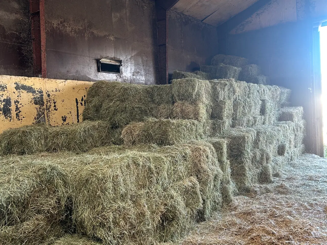 Billede 1 - Hø til mindre kvæg hold