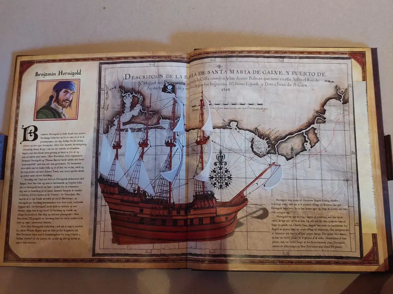 Billede 3 - bog (piraterne)