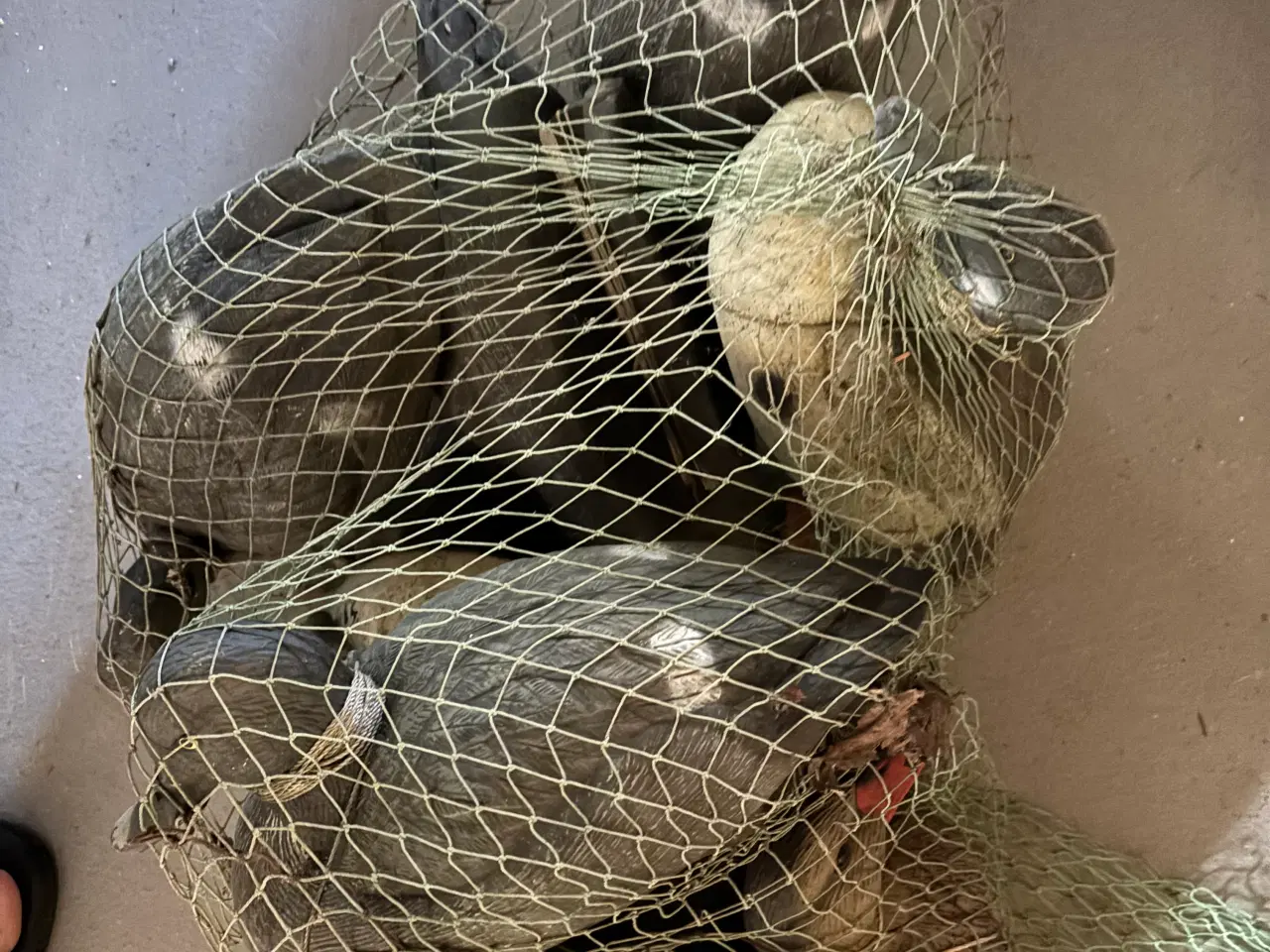 Billede 8 - Jagt skydepram og lokker. 