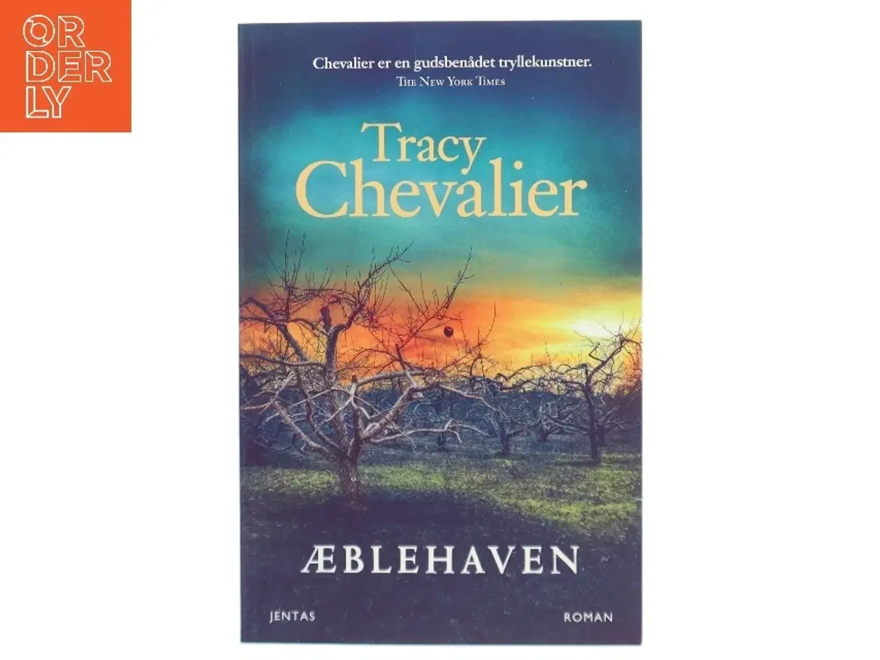 Billede 1 - Æblehaven af Tracy Chevalier (Bog)
