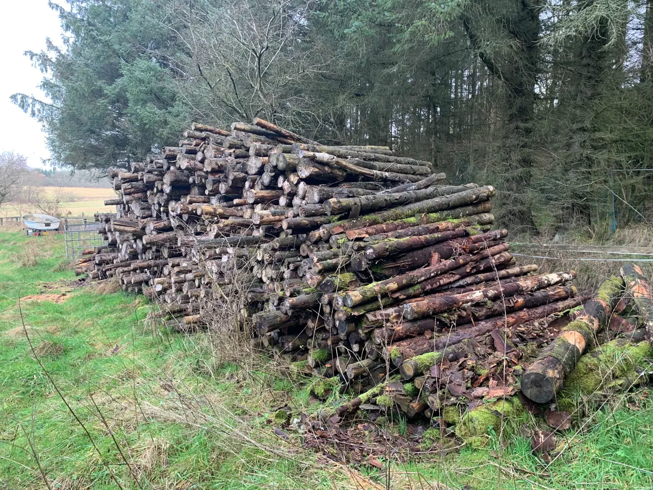 Billede 1 - Brændestak