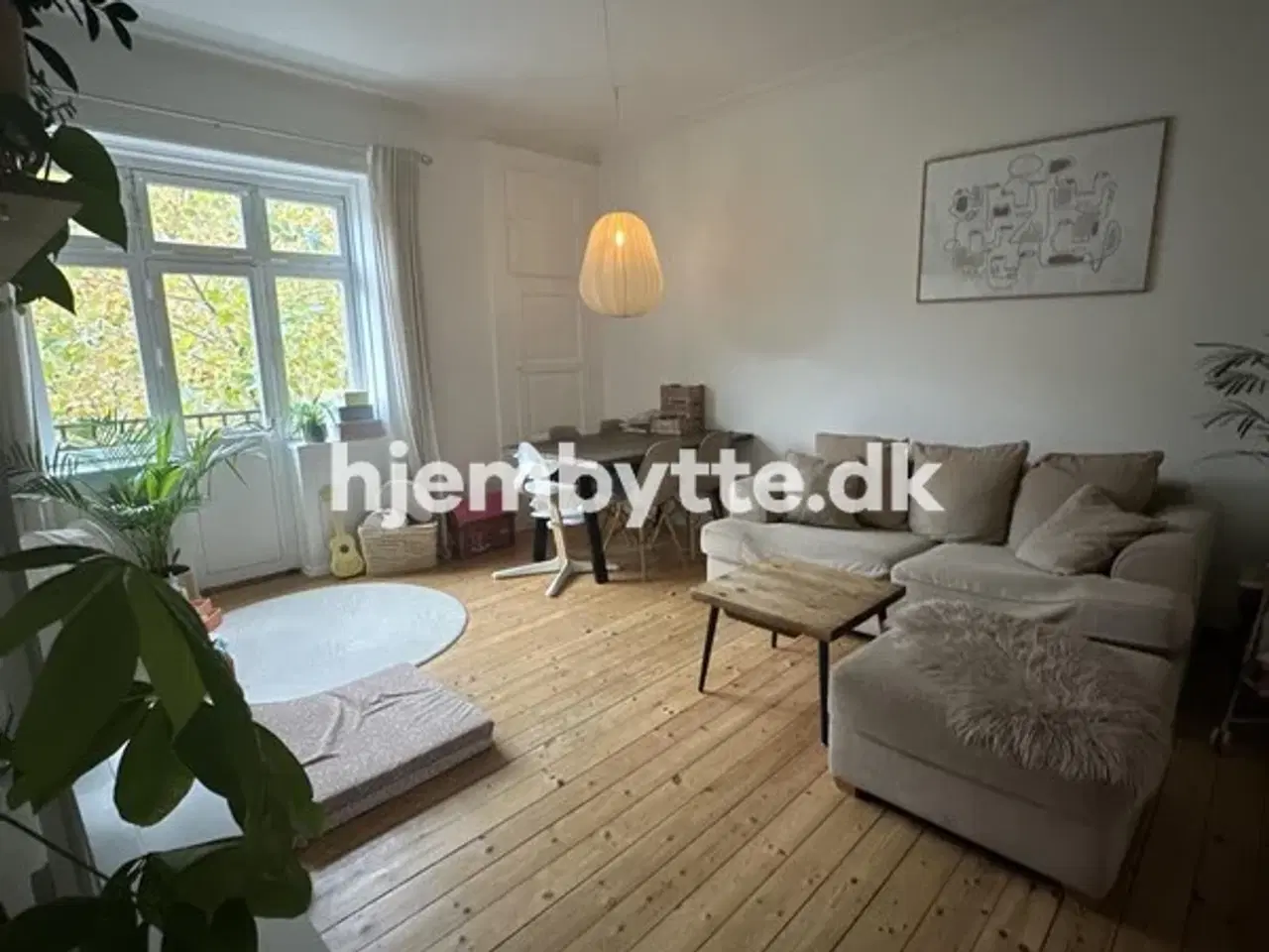 Billede 4 - Hjembytte - Arresøgade