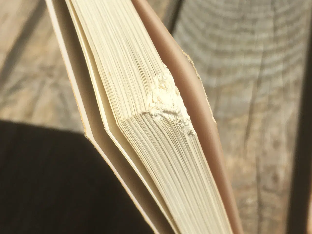 Billede 3 - Kants vision, David Appelbaum