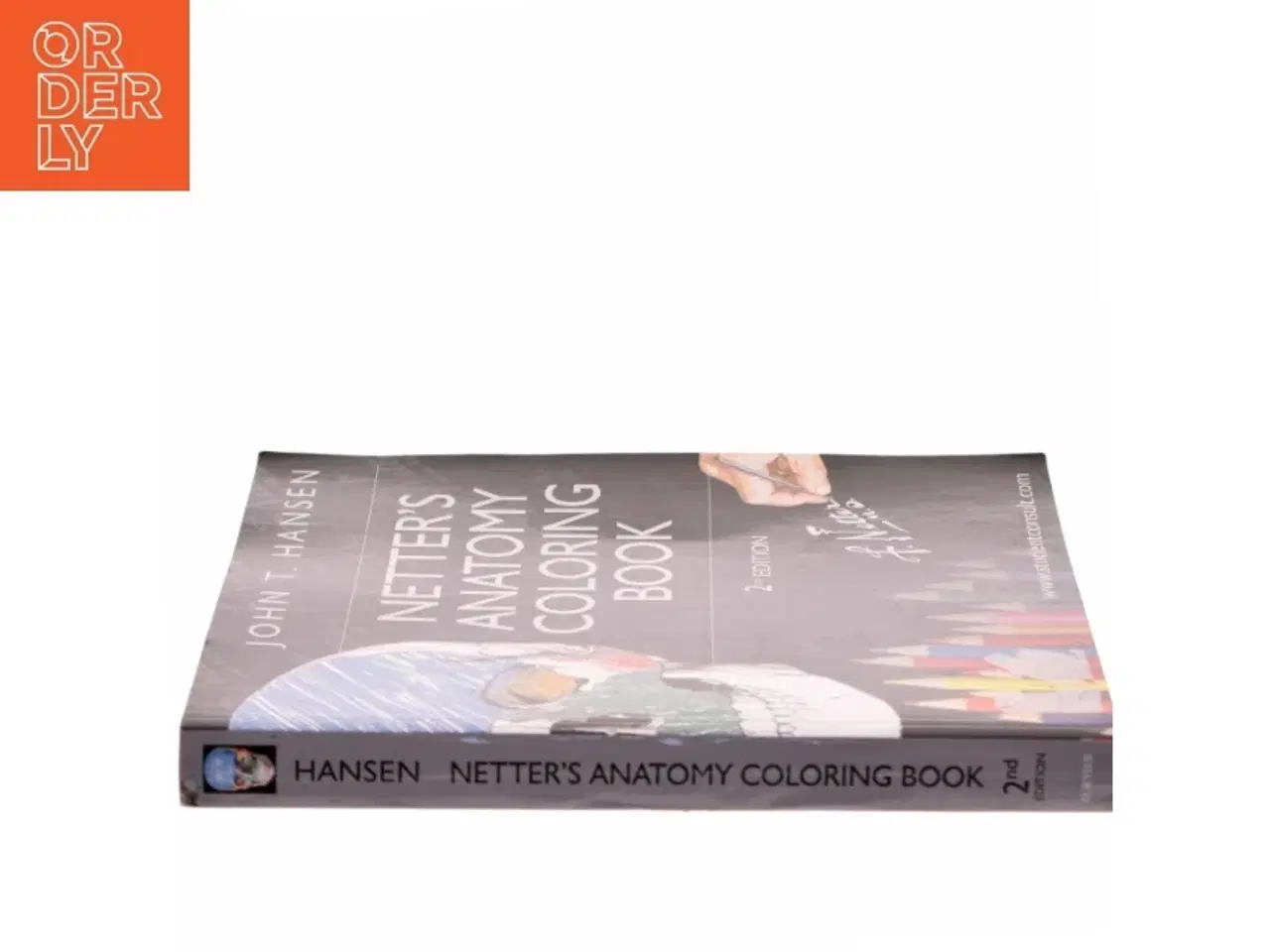 Billede 2 - Netter&#39;s Anatomy Coloring Book af John T. Hansen (Bog)