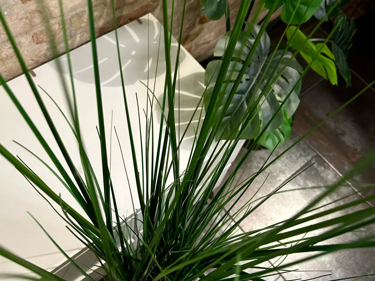 Billede 4 - Faux Grow 150cm plante