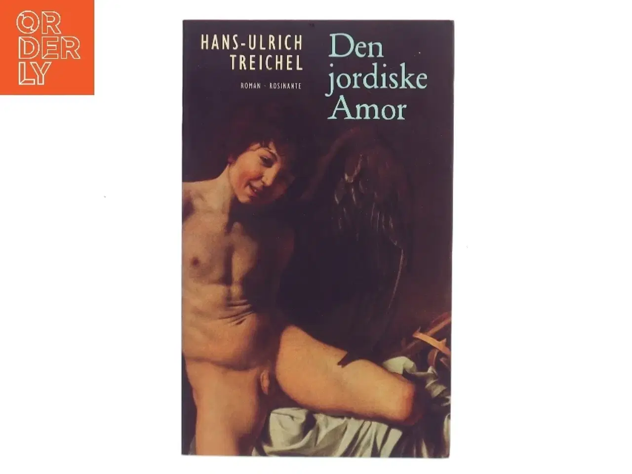 Billede 1 - Den jordiske Amor : roman af Hans-Ulrich Treichel (Bog)