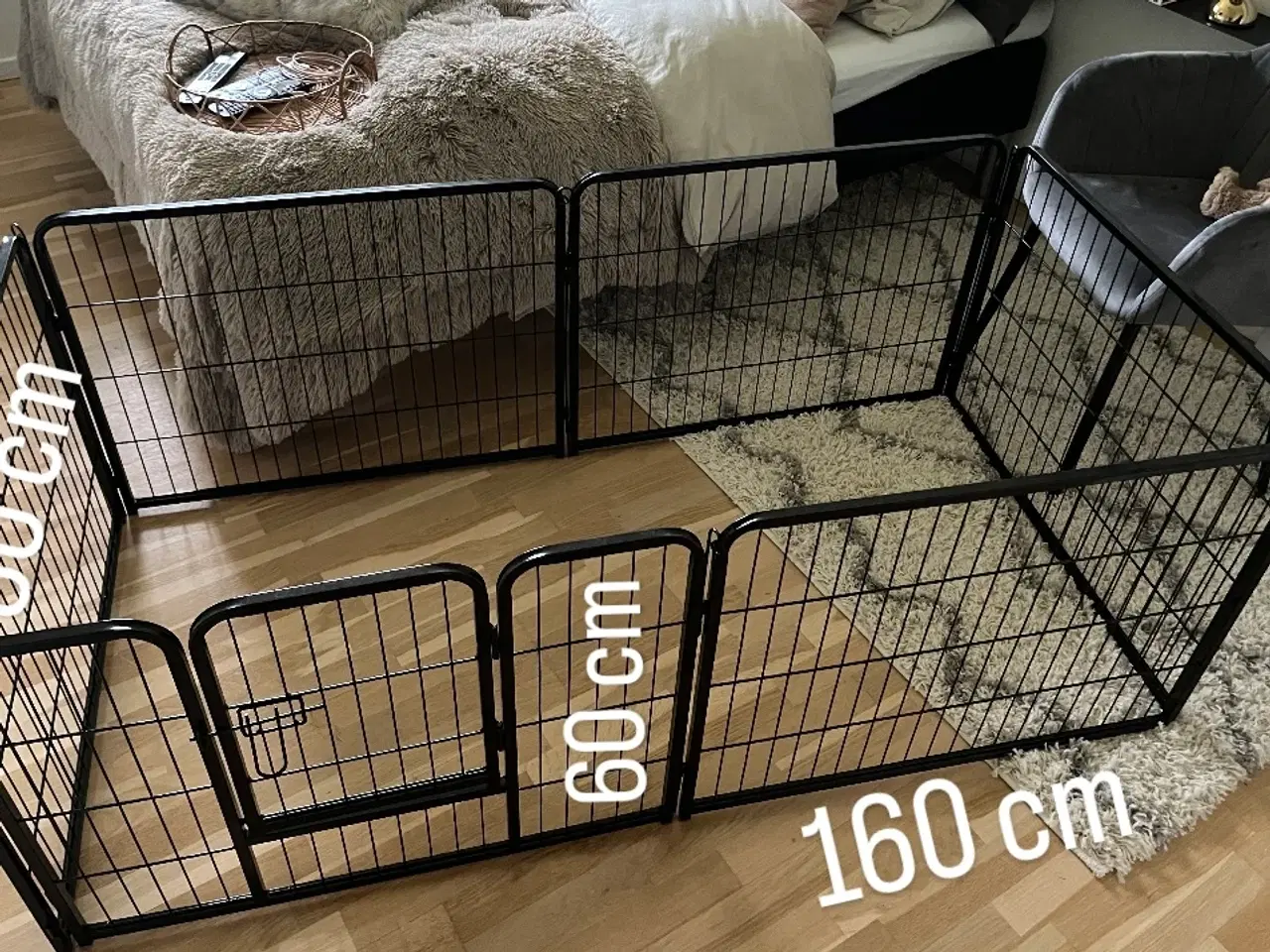Billede 1 - Hunde/hvalpegård