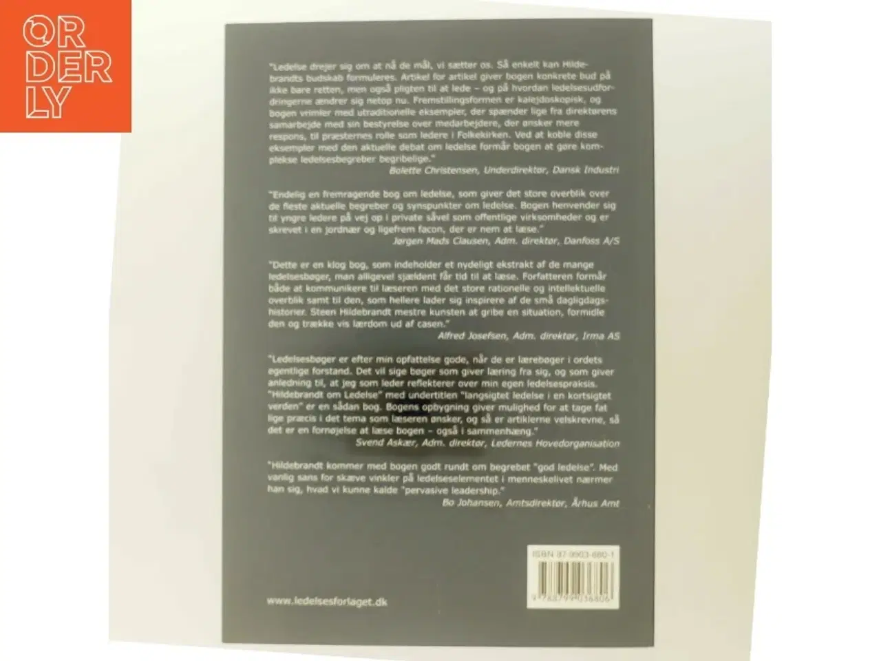 Billede 3 - Hildebrandt om Ledelse